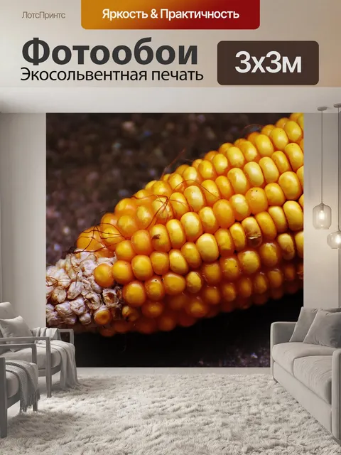 Фотообои Кукуруза