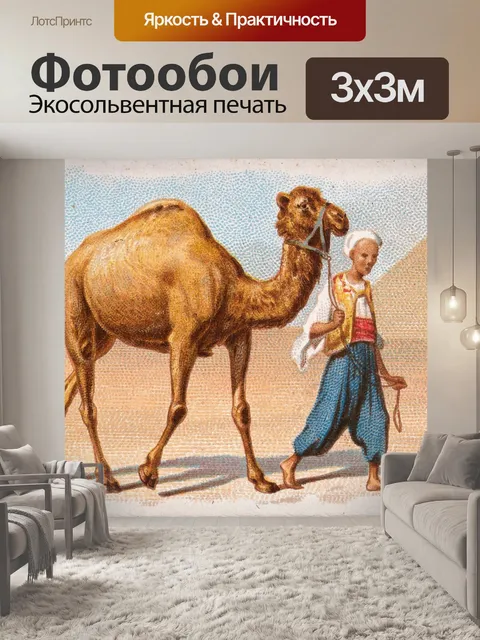 Фотообои Дромадер африканский верблюд
