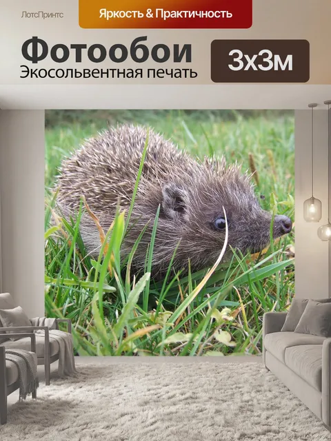 Фотообои Из