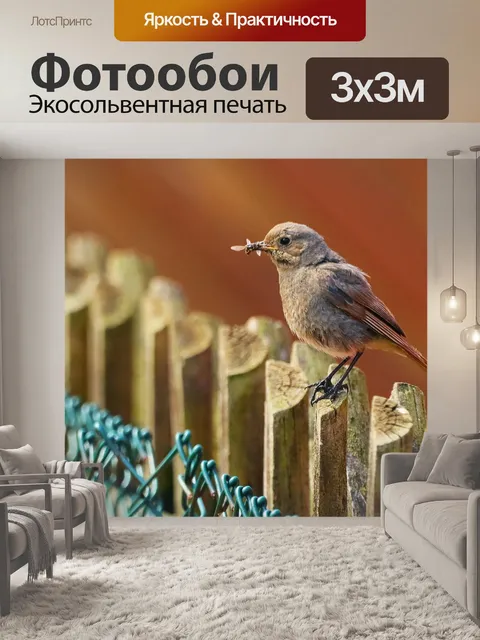 Фотообои Птица