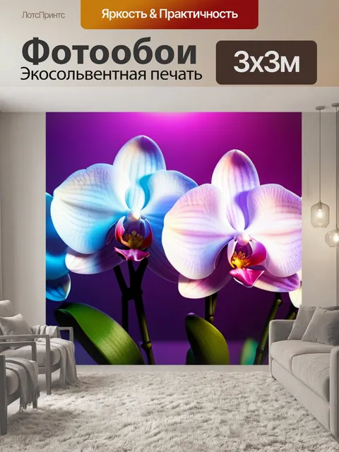 Фотообои с орхидеями