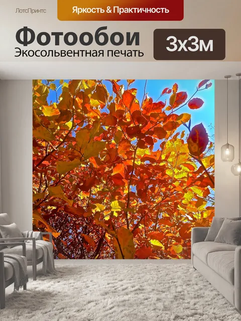 Фотообои Оранжевый
