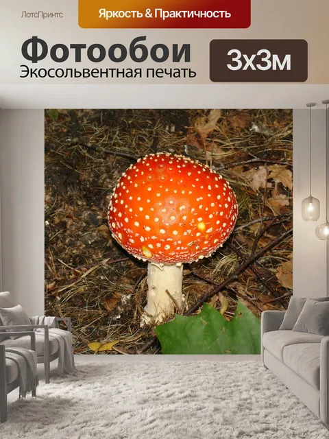 Фотообои Гриб