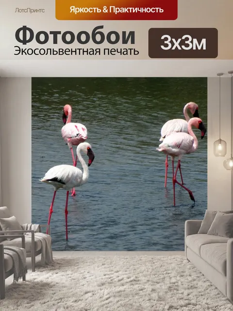 Фотообои Птица