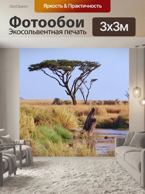 Фотообои Танзания