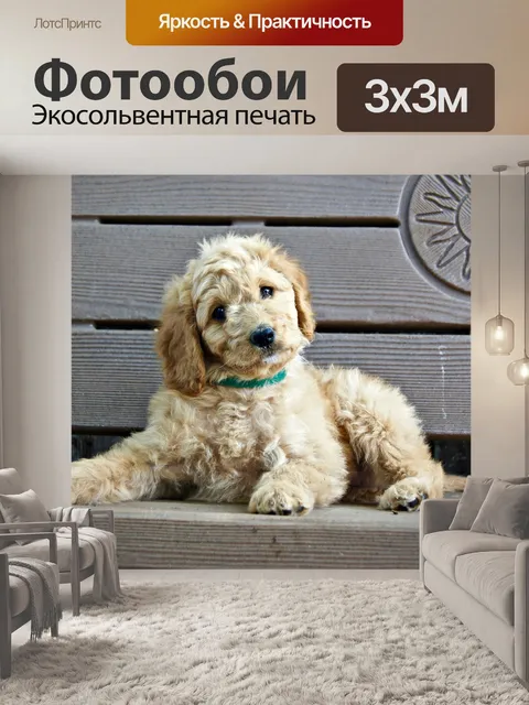 Фотообои Щенок