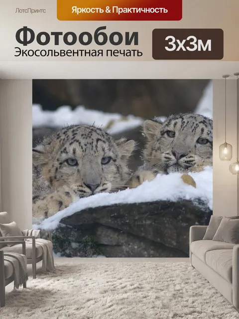 Фотообои Снежный барс
