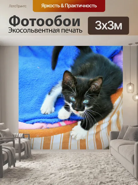 Фотообои яркий глазами котенка