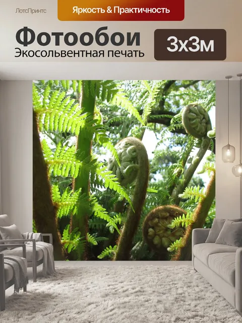 Фотообои Папоротник