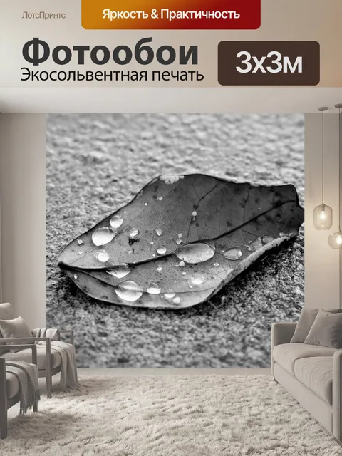 Фотообои Лист