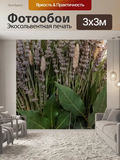 Фотообои Цветок с большими листьями