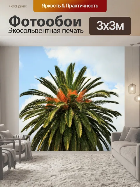 Фотообои декоративные финиковая пальма фруктами