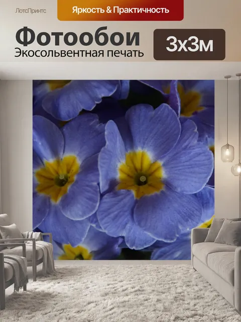 Фотообои Первоцветы