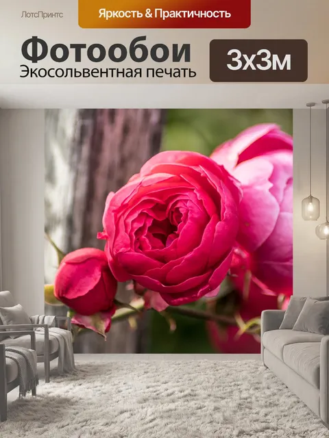 Фотообои Розы