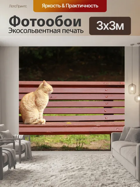 Фотообои Кошка