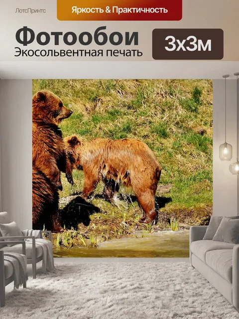 Фотообои Европейский бурый медведь
