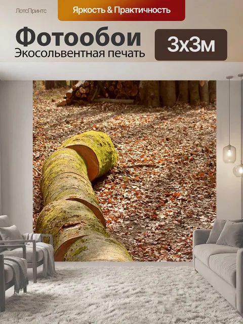 Фотообои Поленница