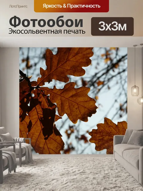 Фотообои Дубовые листья
