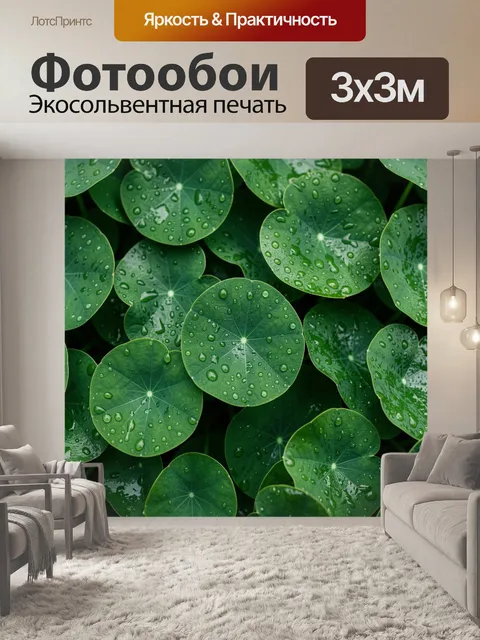 Фотообои Зеленые листья с каплями воды