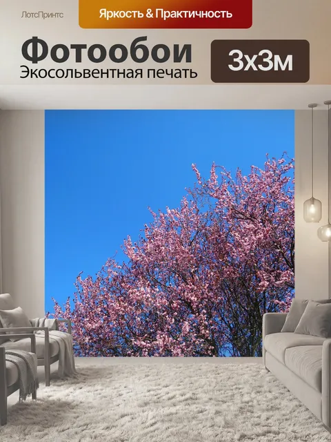 Фотообои Цветы