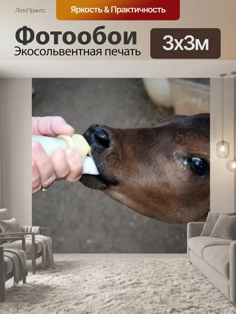 Фотообои Телец