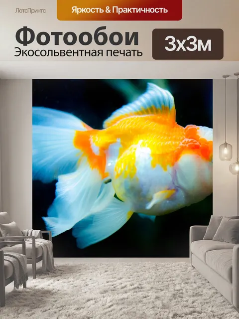 Фотообои Подводный