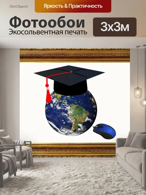 Фотообои Онлайн обучение