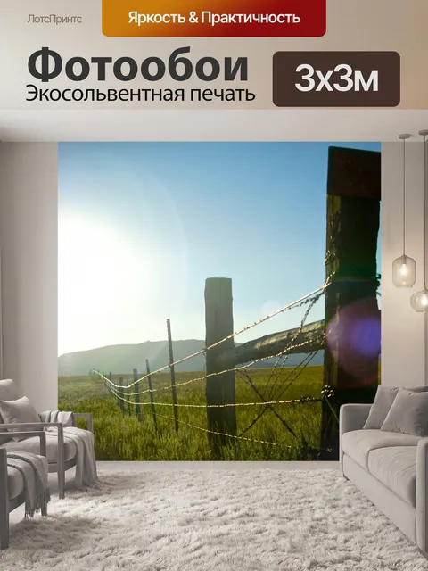 Фотообои Sunburst над колючую проволоку