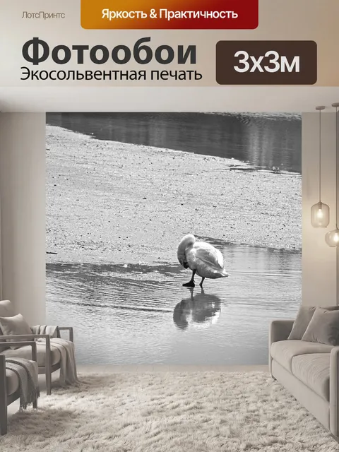 Фотообои белый лебедь