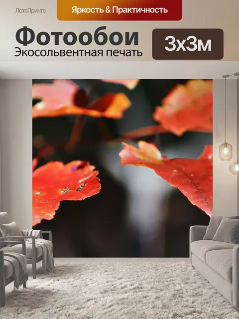 Фотообои Осенние листья цветов