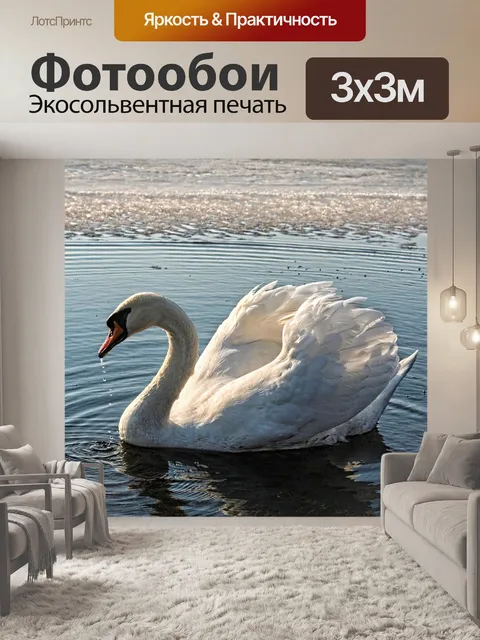 Фотообои Лебедь