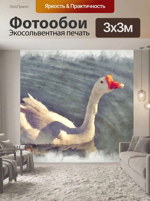 Фотообои плавание лебедя