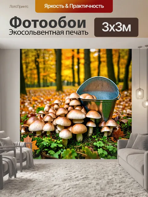 Фотообои грибы заготовки: грибы, собранные в лесу с ведром, позади красивые осенние деревья и красочные листья