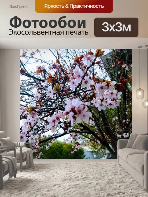 Фотообои Сакура