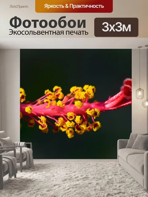 Фотообои Гибискус