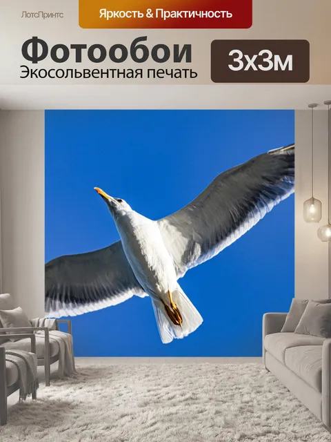 Фотообои Птица