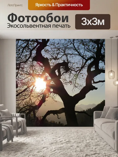 Фотообои Контраст