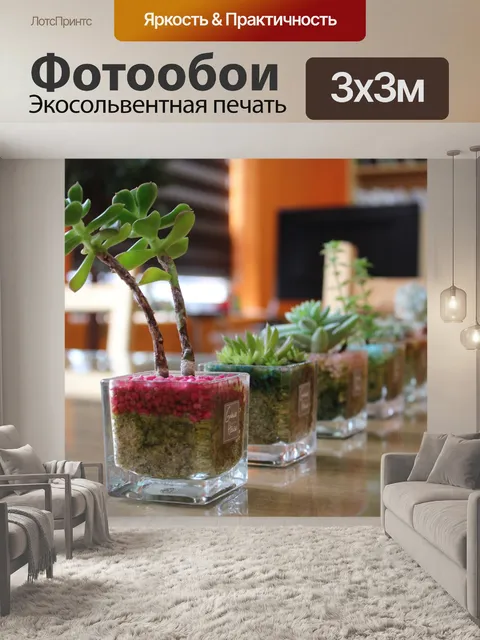 Фотообои Potted plant