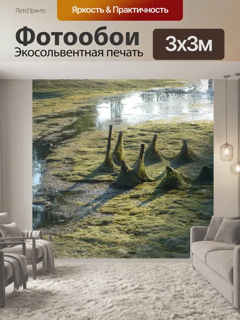 Фотообои Лужа
