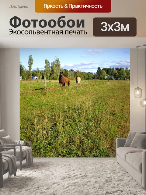 Фотообои Лошади на лугу
