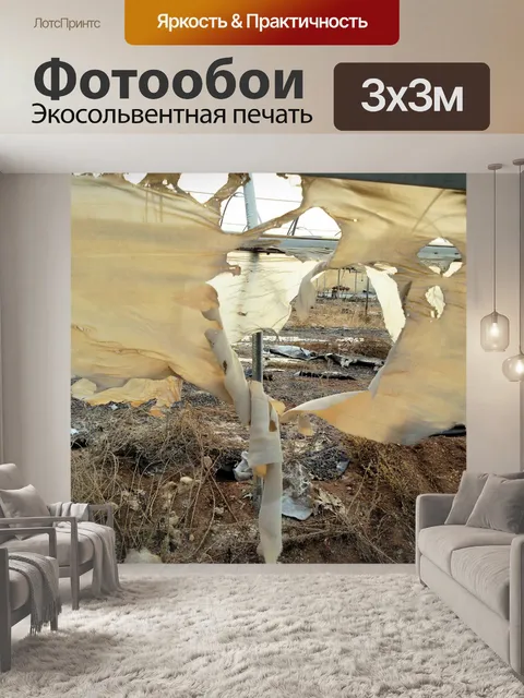 Фотообои Разорванная теплица