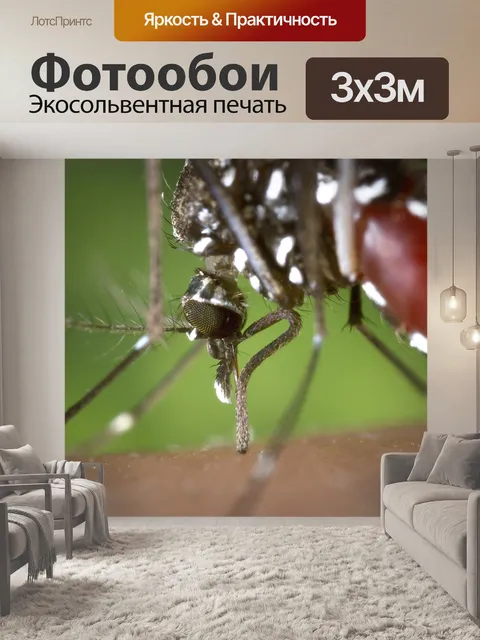 Фотообои Комар