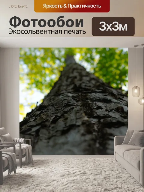 Фотообои Большие деревья