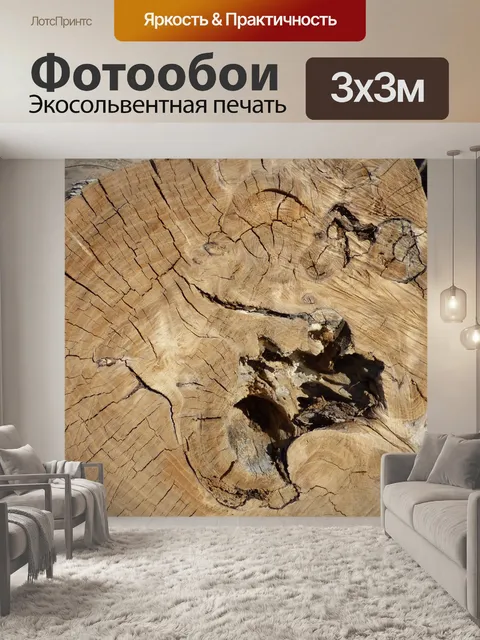 Фотообои Ствол