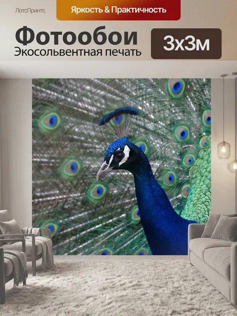 Фотообои Павлин