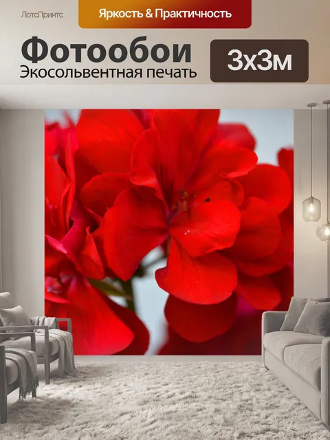 Фотообои Красная герань