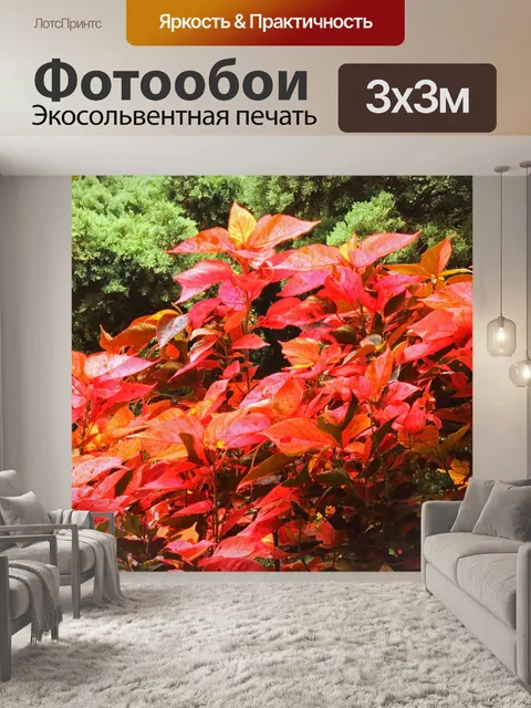 Фотообои растения с желтыми и розовыми листьями