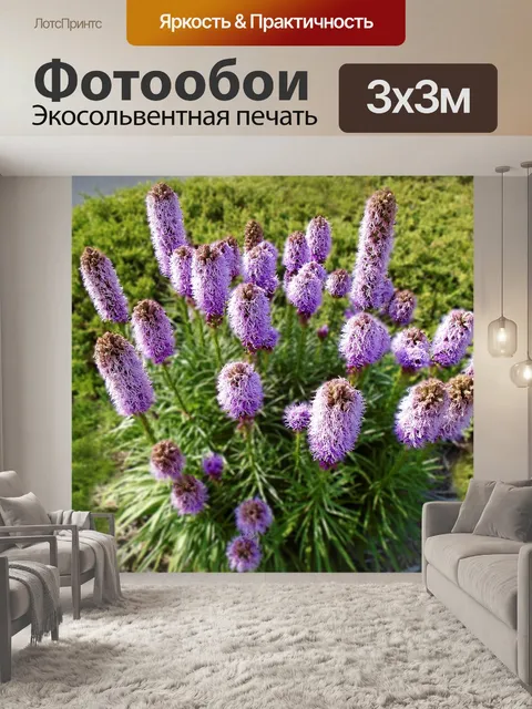 Фотообои Лиатрис