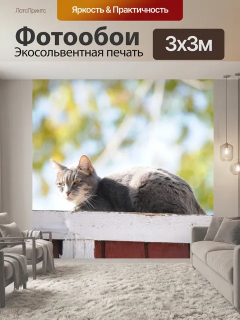Фотообои Кошка на заборе