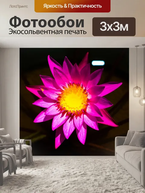 Фотообои цветок лотоса